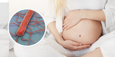 ¿Por qué la listeria puede ser más peligrosa para las embarazadas?