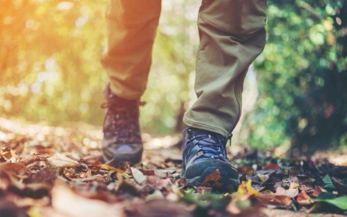 Caminar 22 minutos al día: beneficios para la glicemia, el corazón y la salud mental