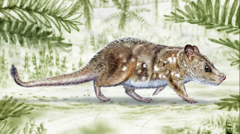 Descubren nuevo mamífero mesozoico en la Patagonia