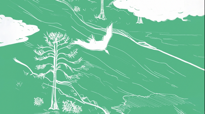 Lanzamiento del libro “Exploraciones interdisciplinarias de los Derechos de la Naturaleza”