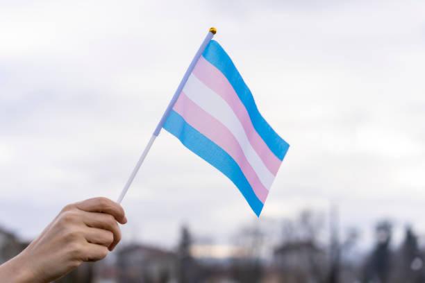 Día Nacional de la Niñez y Adolescencia Trans: derechos, visibilidad y desafíos