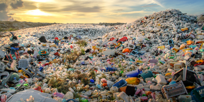 Contaminación por plásticos: 50 millones de toneladas al año afectan la salud humana y el planeta