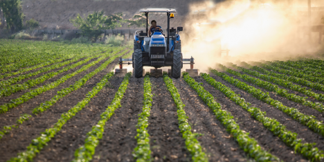 Industria alimentaria y cambio climático: innovación y desafíos para la agricultura del futuro
