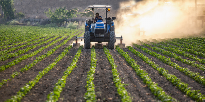 Industria alimentaria y cambio climático: innovación y desafíos para la agricultura del futuro
