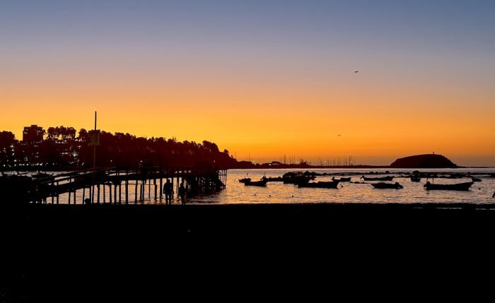 Algarrobo: pingüinos, cuevas, deportes náuticos y playas a un par de horas de Santiago