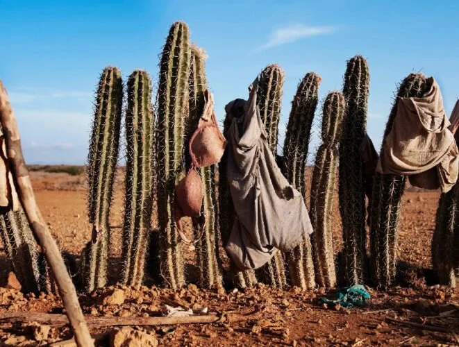 La fotógrafa chilena Magdalena Correa muestra en Madrid los límites del mundo
