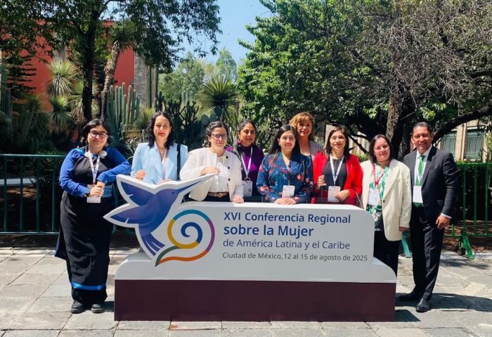 Destacan plan Chile Cuida en histórica conferencia que consagra el cuidado como derecho humano