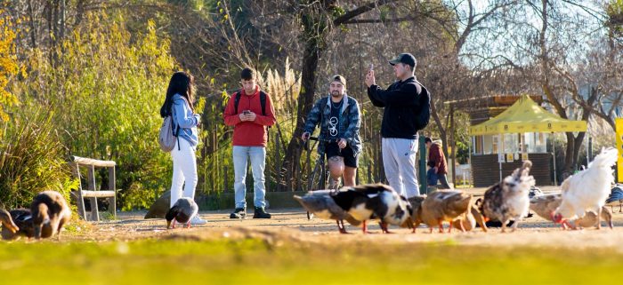Naturaleza y salud: especialistas destacan beneficios físicos y mentales de los entornos verdes