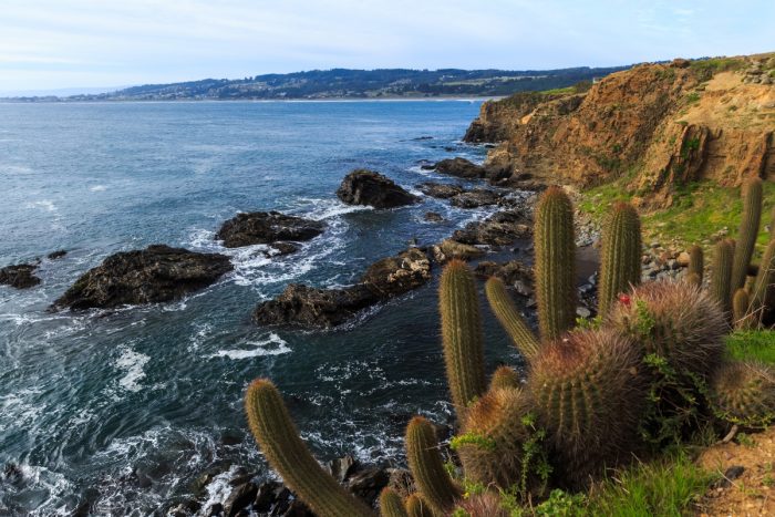Pichilemu y Matanzas: destinos costeros en O’Higgins entre surf, naturaleza y tranquilidad