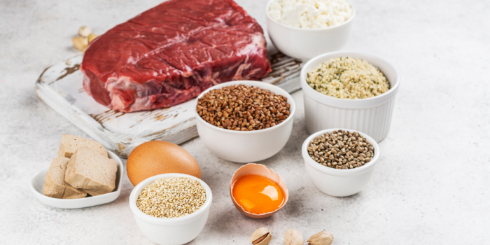Herramienta científica permite identificar qué alimentos entregan aminoácidos esenciales