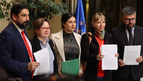 "No puede ser que el CEN se haga el larry": diputados denuncian abusos en cuentas de luz