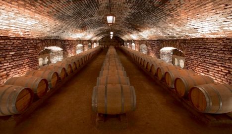 Viña Concha y Toro entra al Top3 del vino y consolida el avance de Chile en la industria global