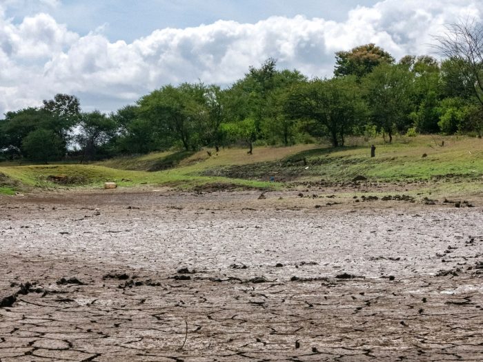Investigación que busca recuperar suelos dañados representará a Chile en la COP30