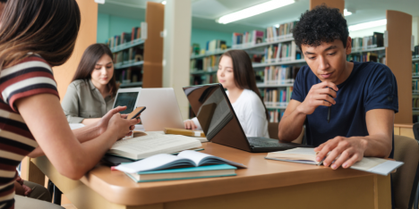 El desarrollo de la interculturalidad en las universidades
