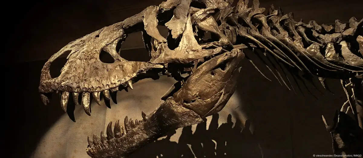 ¿Cómo sonaban los dinosaurios? Este nuevo proyecto lo recrea