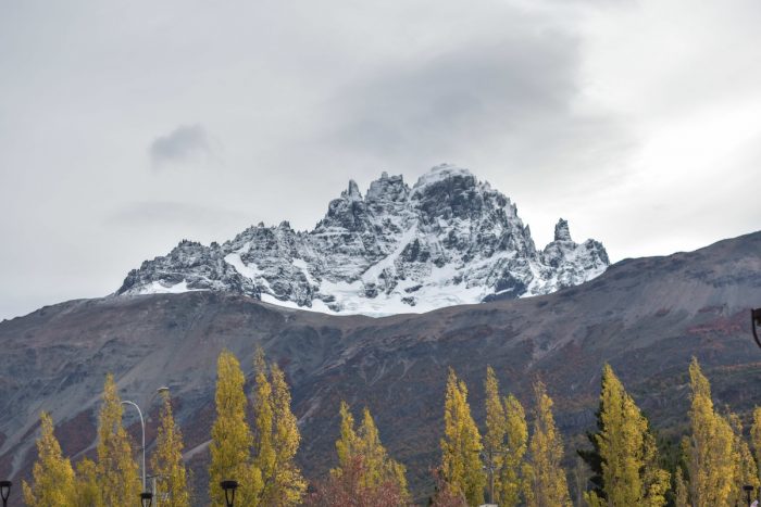 La alternativa culinaria que ofrece la Ruta de los Parques de la Patagonia