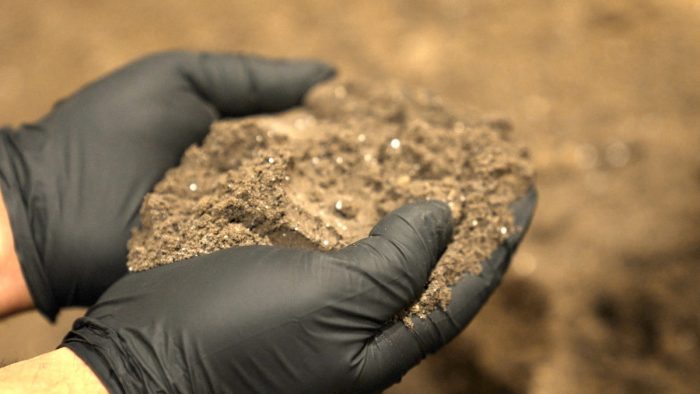 Subproductos de celulosa ayudan a mejorar la calidad de los suelos en el sur de Chile