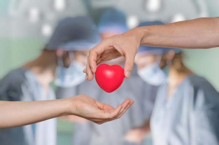Día Nacional del Donante: la logística que hace posible cada trasplante de órganos