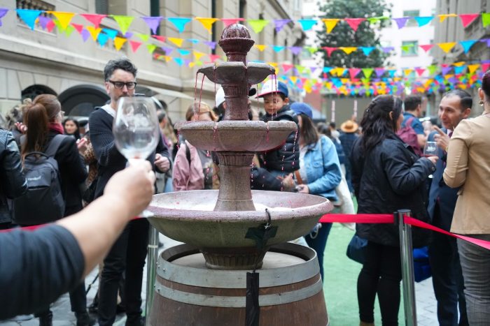 Santiago y el Valle del Maipo: Actividades para celebrar el Día Nacional del Vino