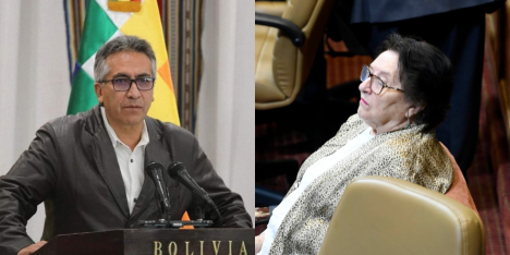 Ministro boliviano baja el tono del debate tras declaraciones de diputada Cordero