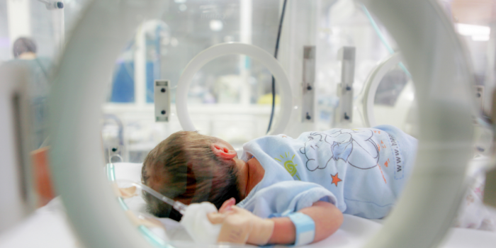 Fonoaudiología para bebés prematuros: voces que nacen antes de tiempo