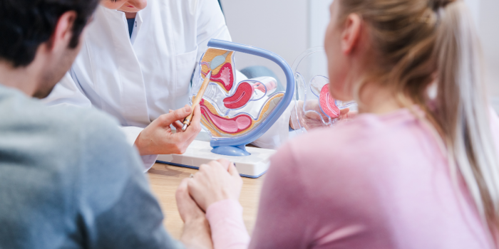 Baja natalidad: Congreso de Fertilidad Integrativa busca informar y empoderar a la población