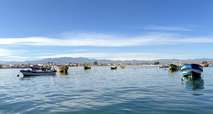 Tongoy: playas infinitas, sabores de mar y relajo en la Región de Coquimbo