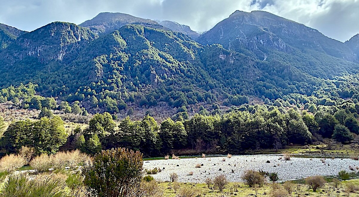 The public's reaction to controversy