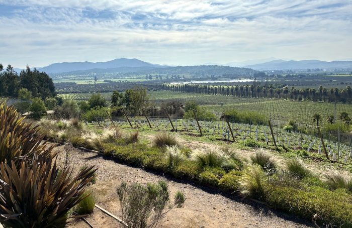 Casablanca: una combinación de campo, playa y tradiciones, con vinos que conquistan el mundo