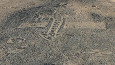 Pintados: la voz ancestral del desierto camino a la UNESCO