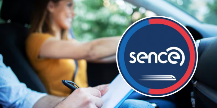 Nuevos cursos gratuitos permiten obtener licencia de conductor profesional