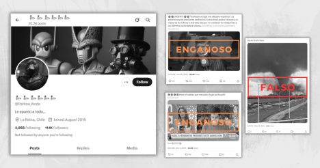 Las desinformaciones difundidas en el perfil de “Patito Verde”