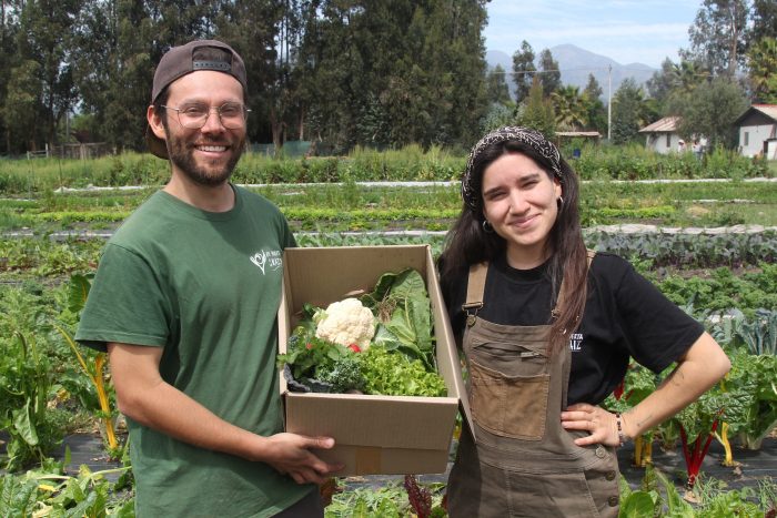 Postulaciones abiertas para el programa Tierra Joven de Indap: requisitos para postular
