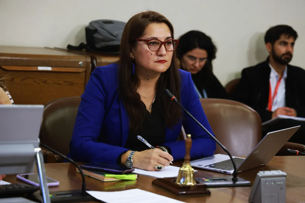 Diputada Viviana Delgado: “La buena cultura no puede pagar los costos de la mala política”
