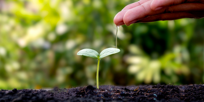 Camino a la COP30: empresas y expertos destacan la urgencia de “regenerar”