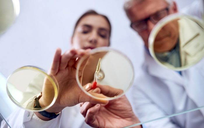 Postgrados PUCV lanza oferta académica para responder a los desafíos del presente y el futuro