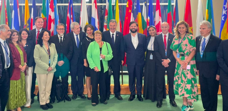 "Como ganar la Copa del Mundo": Ossandón se desmarca de Chile Vamos y apoya a Bachelet para la ONU