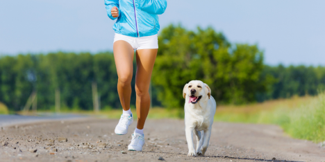 SuperZoo Dog Race: el evento pet friendly que une running y bienestar animal