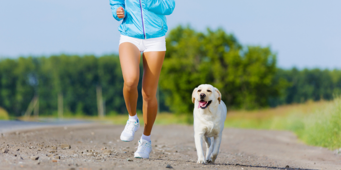 SuperZoo Dog Race: el evento pet friendly que une running y bienestar animal