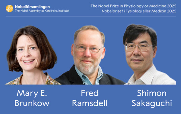 Nobel Medicina a Brunkow, Ramsdell y Sakaguchi por la tolerancia inmunológica periférica