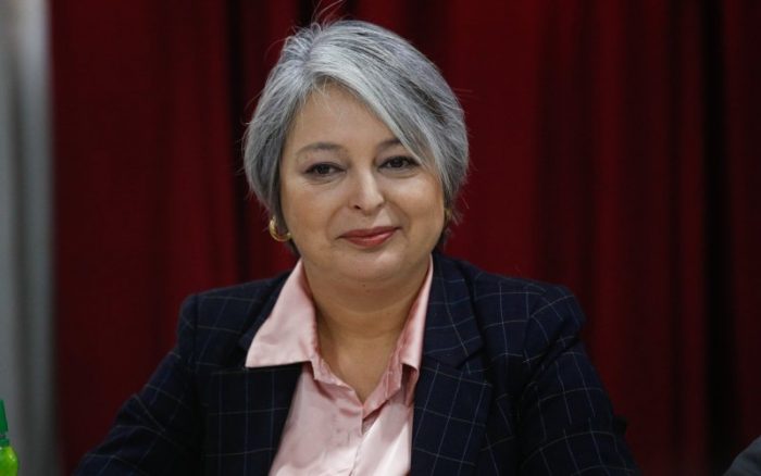 Red de clínicas y seguro veterinario para mascotas: Jara presenta medidas para el cuidado animal