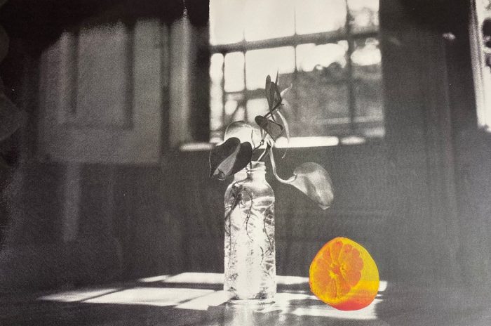 Exposición “Desplazamientos” en Valparaíso