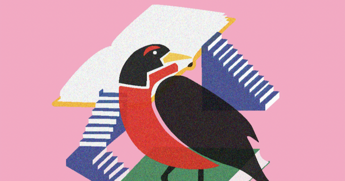 Primer Festival del Libro “Una loica me contó…” en Viña del Mar