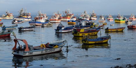 Programas presidenciales: análisis detecta vacíos en sustentabilidad, pesca y gobernanza costera 