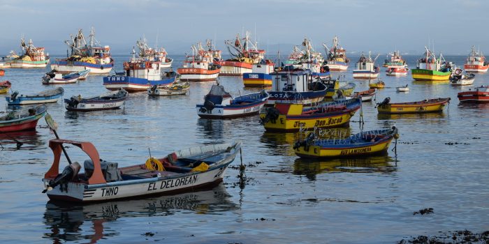 Programas presidenciales: análisis detecta vacíos en sustentabilidad, pesca y gobernanza costera