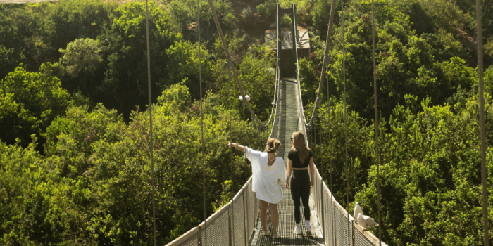 Primavera en Parque Tricao: aves, nacimientos y paisajes que invitan a conectar con la naturaleza