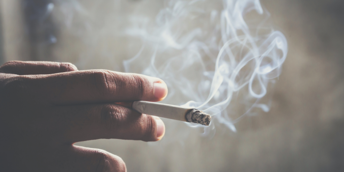 Chile: una ruta de humo, cenizas y muerte