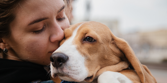 Chile avanza en conciencia animal: más del 50% apoya reconocer a los animales como seres sintientes