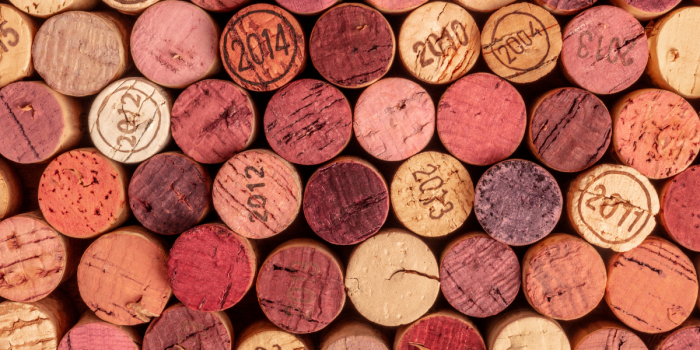 Biotecnología chilena busca transformar desechos del vino en productos de alto valor
