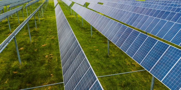 Innovación y sustentabilidad: casa de estudio avanza hacia un campus impulsado por energía solar
